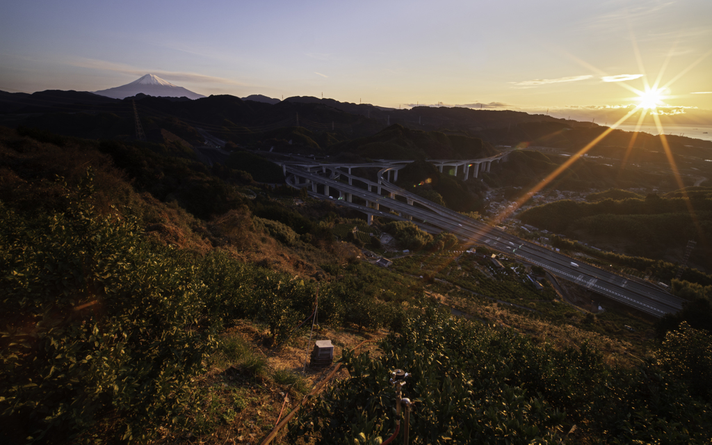 2026.1.5 朝日がほんのりと暖かくて有難いな。