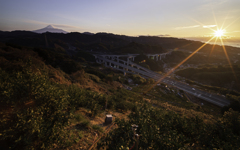 2026.1.5 朝日がほんのりと暖かくて有難いな。