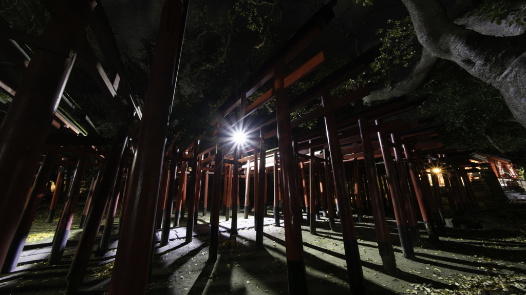 もうすぐ元旦、初詣に撮影したらどんな絵になるかな