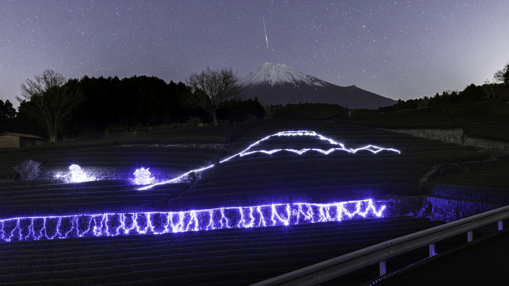 2026.1.17 綺麗だけど寒いなぁ、今度は新茶の時期にしよう。