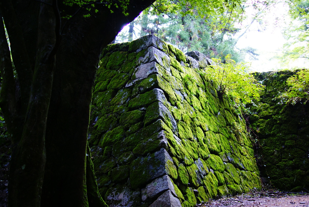 確かにここにあった