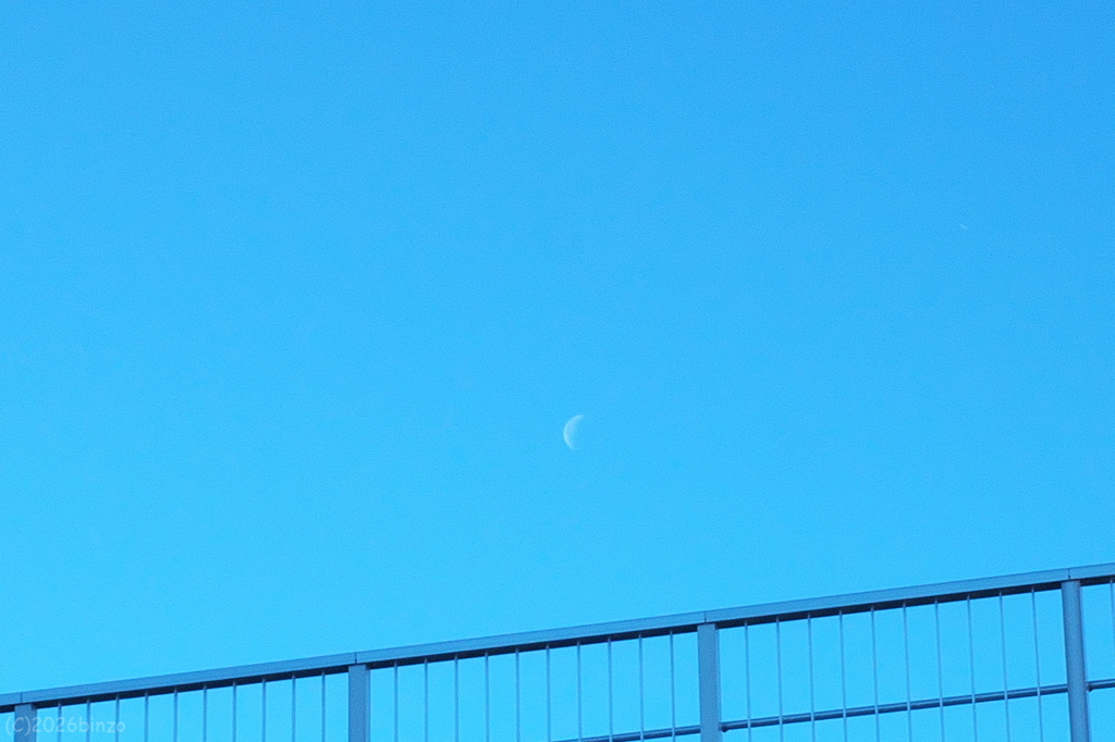 昼間の月
