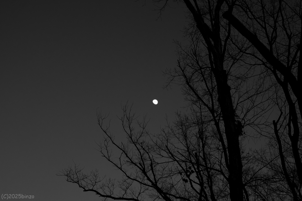2025年大晦日の月