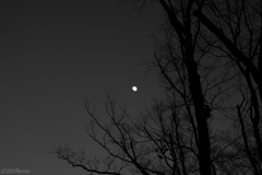 2025年大晦日の月