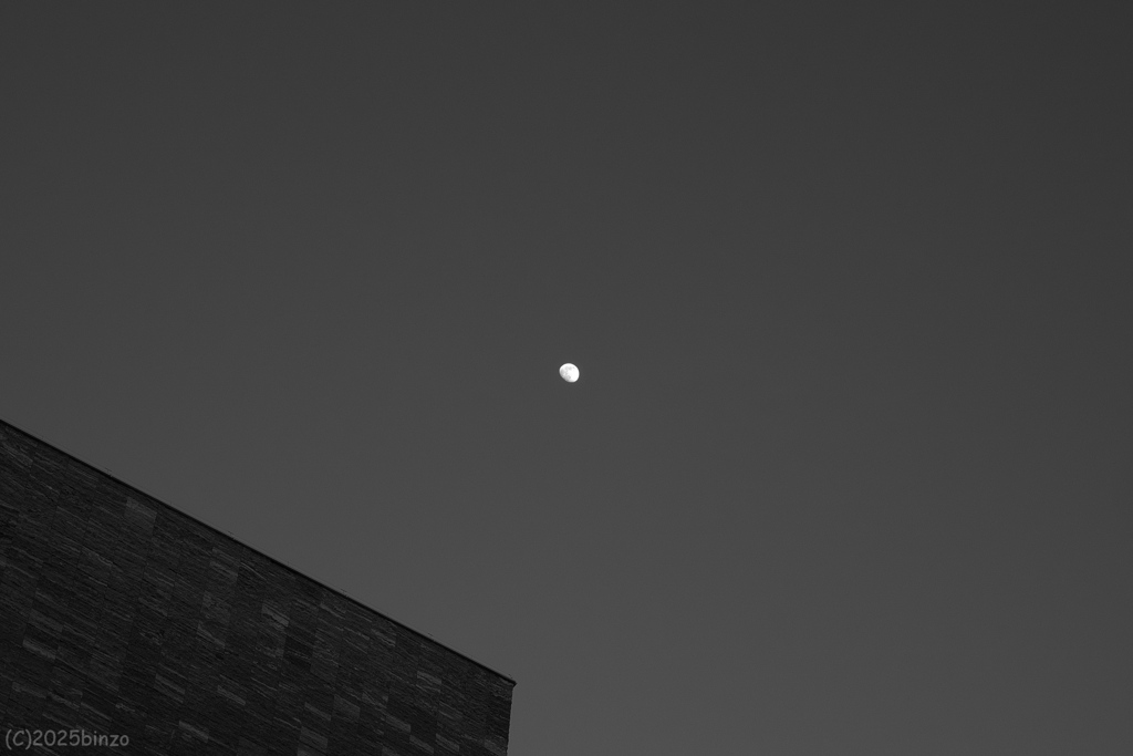 2025年大晦日の月