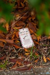 サンタのわすれもの