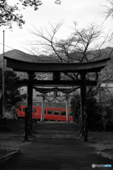 このまちを走る鉄路をいつまで残せるだろうか