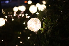 名古屋駅イルミネーション！