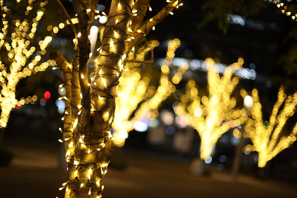 名古屋駅イルミネーション！
