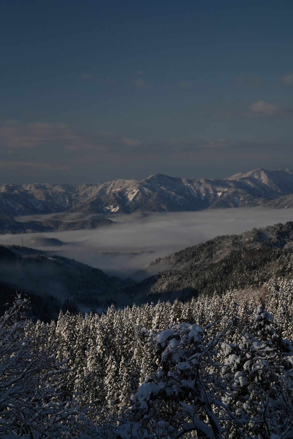 勝山にて雲海を眺望