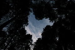 ここだけの静寂