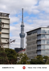 冬空にそびえる