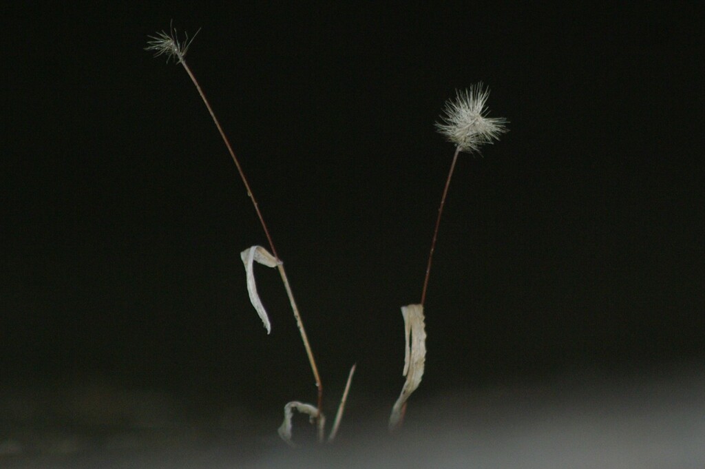 見えないところで