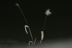 見えないところで