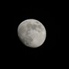 今夜の月