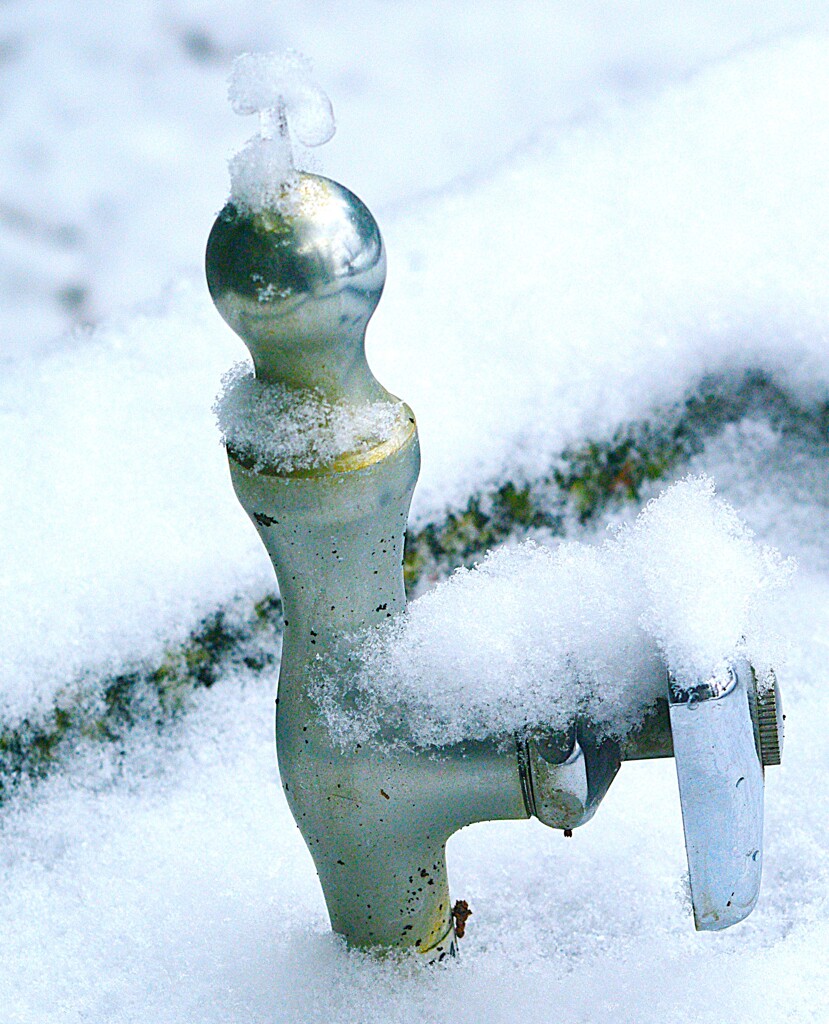 誰が飲んだんだろう？