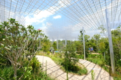 真夏、灼熱のパビリオン。