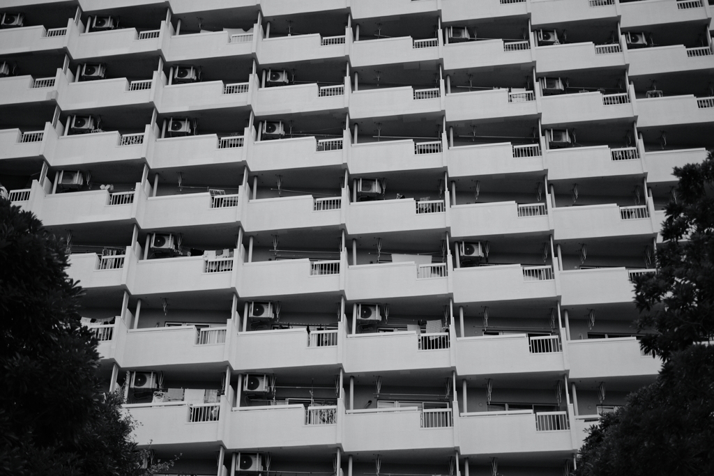 違いはあるのか