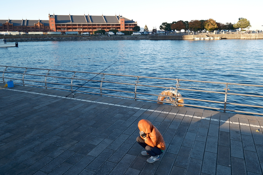 いつ釣れるのか