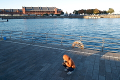 いつ釣れるのか