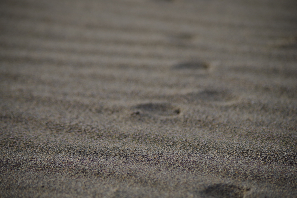 砂浜の痕跡