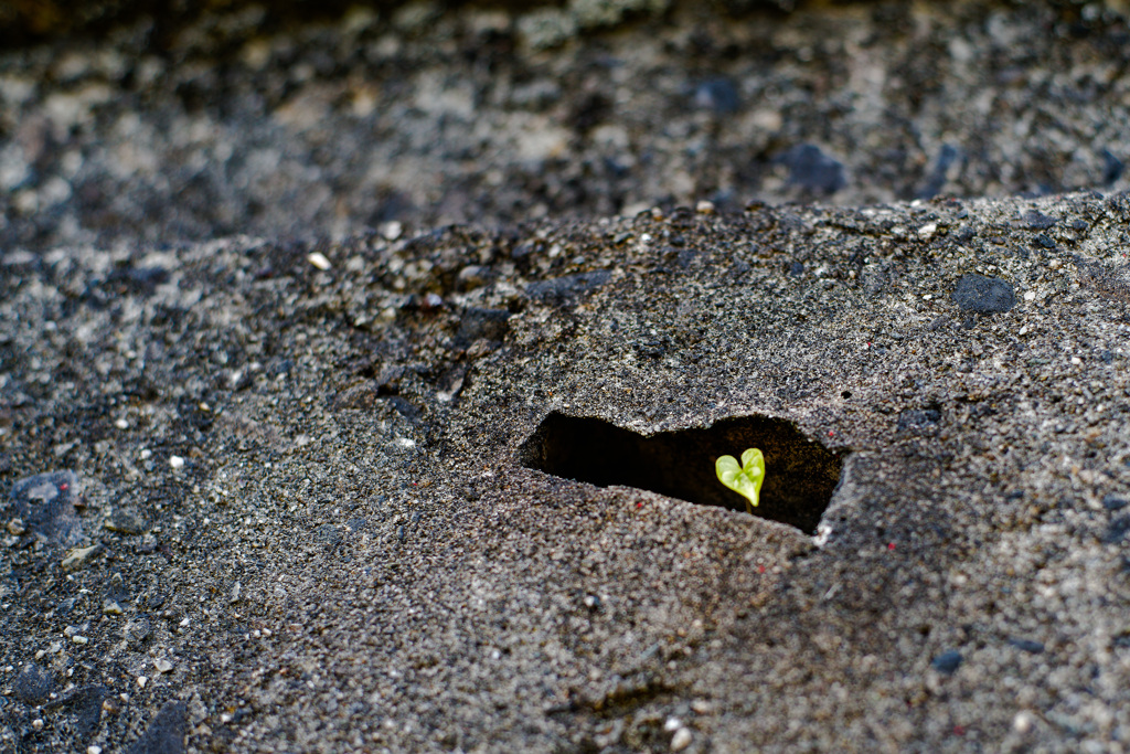 人工物の中に生きる