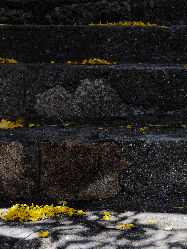 ごくごく近所の階段