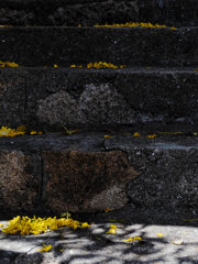 ごくごく近所の階段