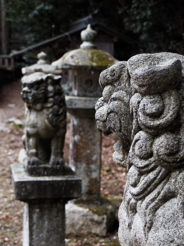 有馬温泉　神社狛犬