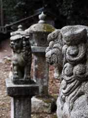 有馬温泉　神社狛犬
