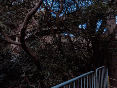 近代化産業遺産 天王橋