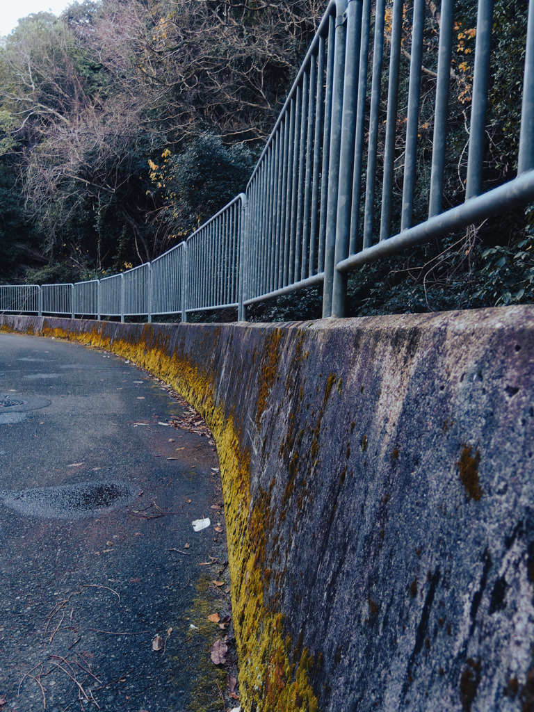 黄色い左カーブ