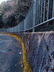 黄色い左カーブ