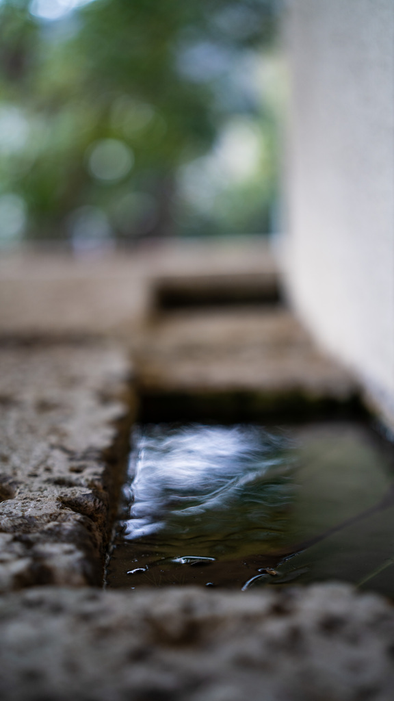 ヨドコウ迎賓館エントランス２