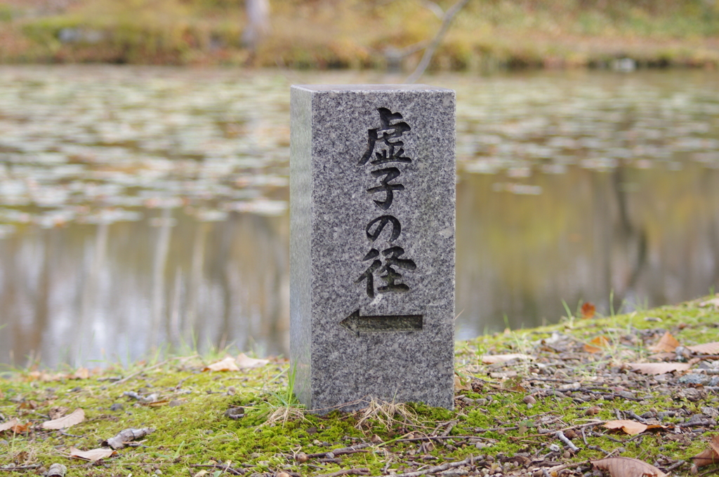 七飯　大沼公園　虚子って何？　