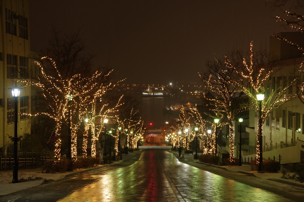 雨の八幡坂のイルミネーション
