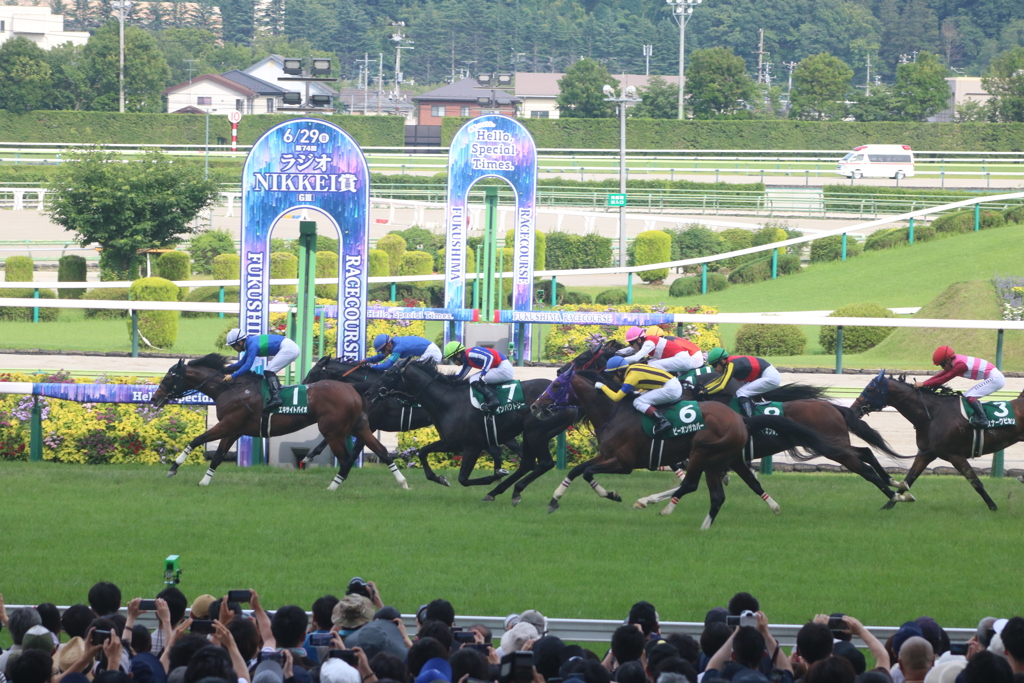 2025.6.29 ラジオNIKKEI賞