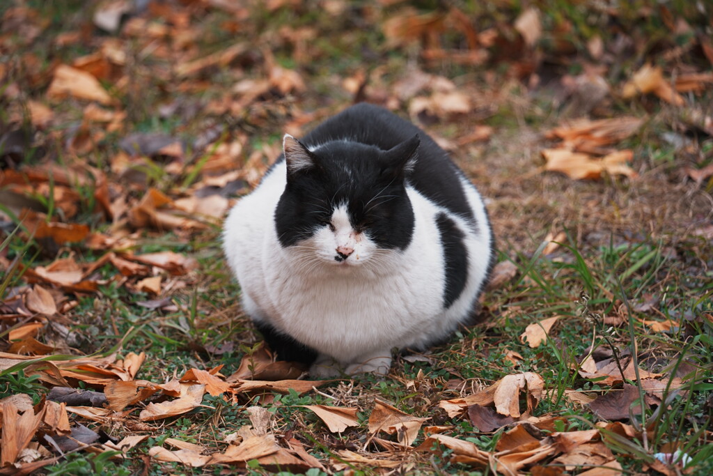 路地裏が全部アート