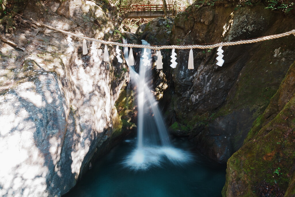 開運！三社巡りの旅