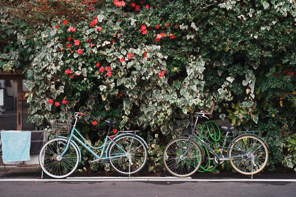路地裏が全部アート