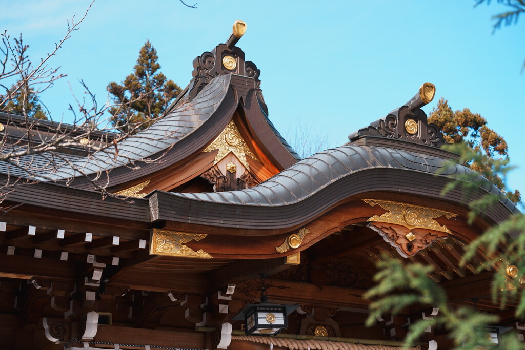 開運！三社巡りの旅