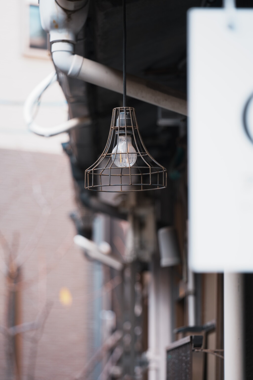 古さの中の新しさ