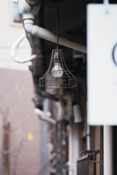 古さの中の新しさ