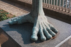 ４人で撮り歩くと...