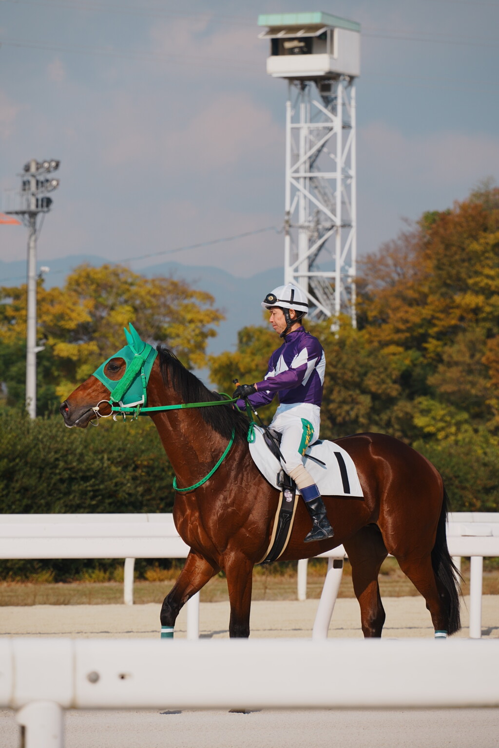 白砂が舞う、その一瞬