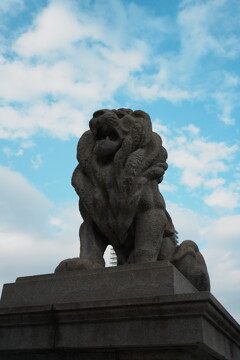 ４人で撮り歩くと...