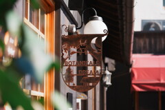 古さの中の新しさ