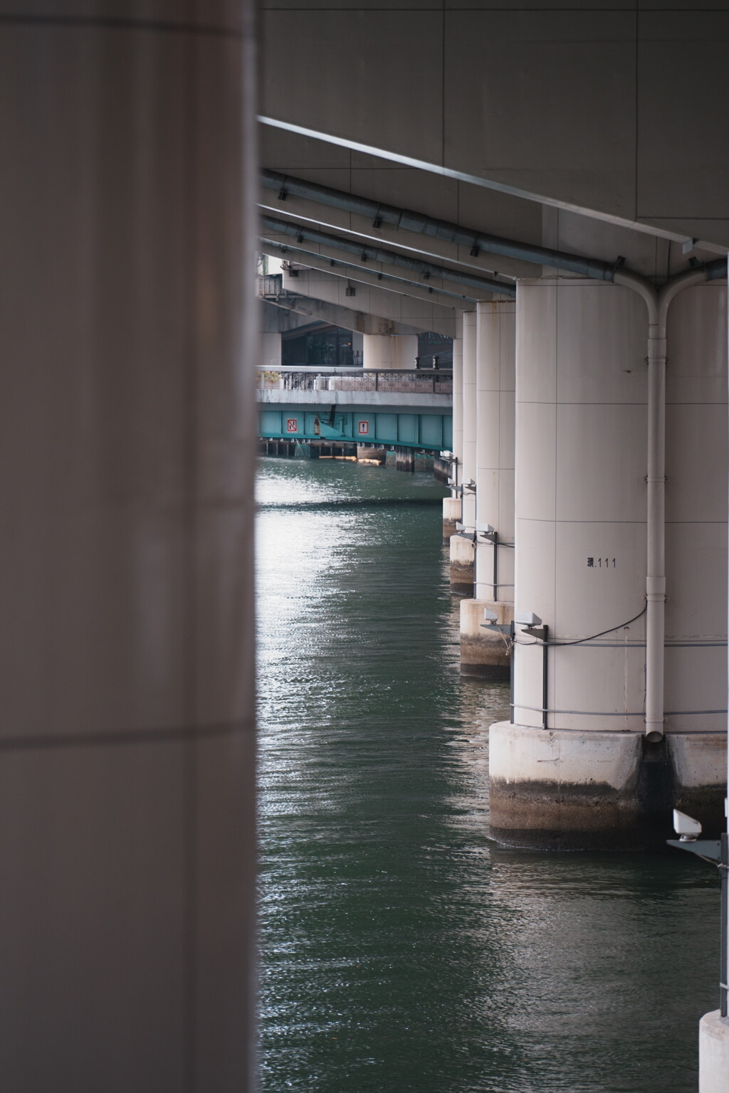 ４人で撮り歩くと...