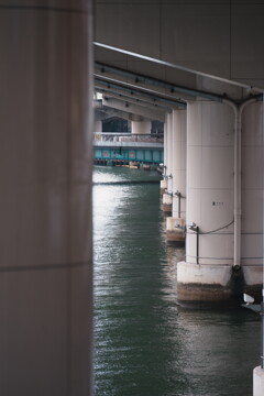 ４人で撮り歩くと...