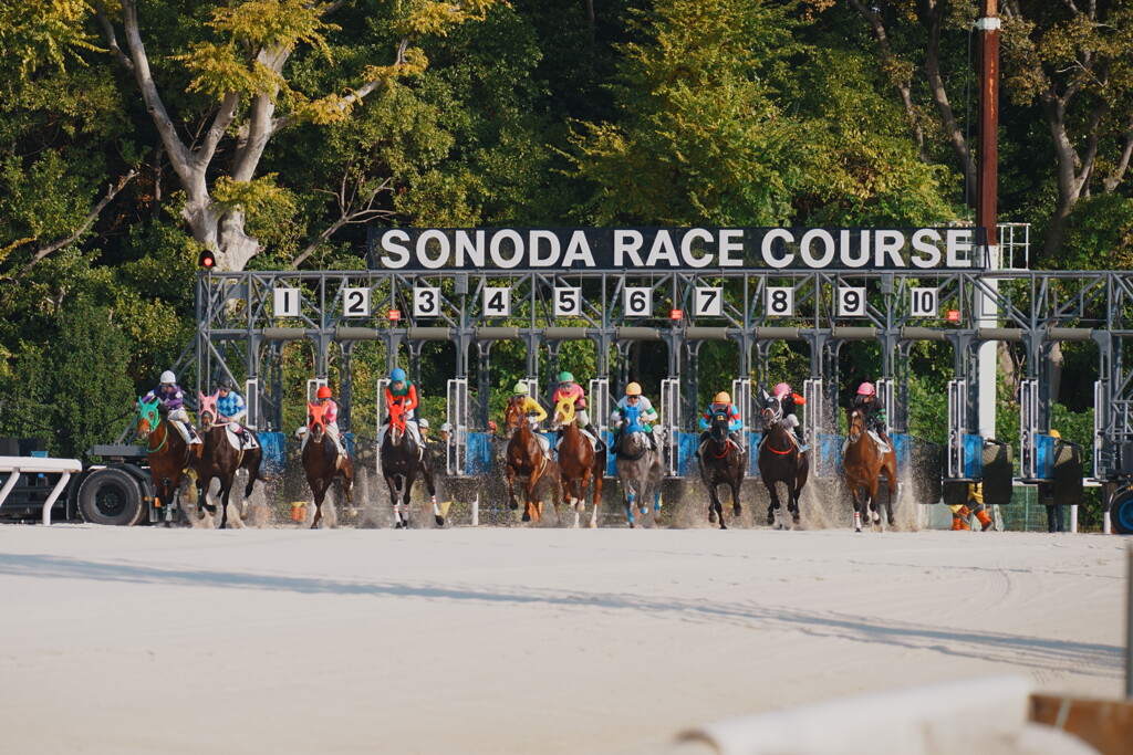 白砂が舞う、その一瞬